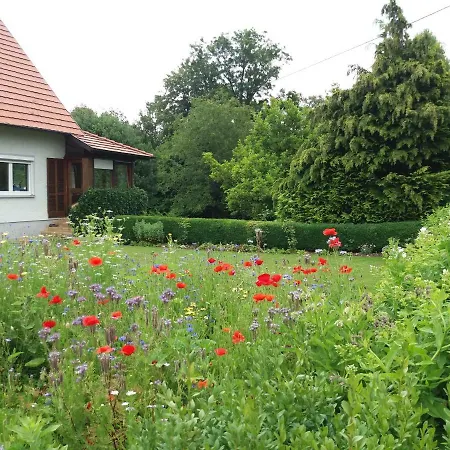 An Der Iller Holiday home *