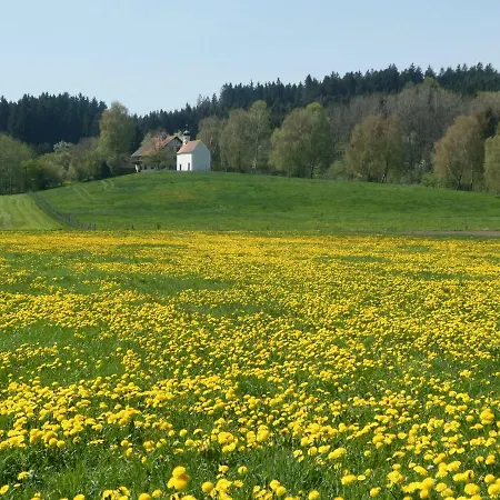Holiday home An Der Iller